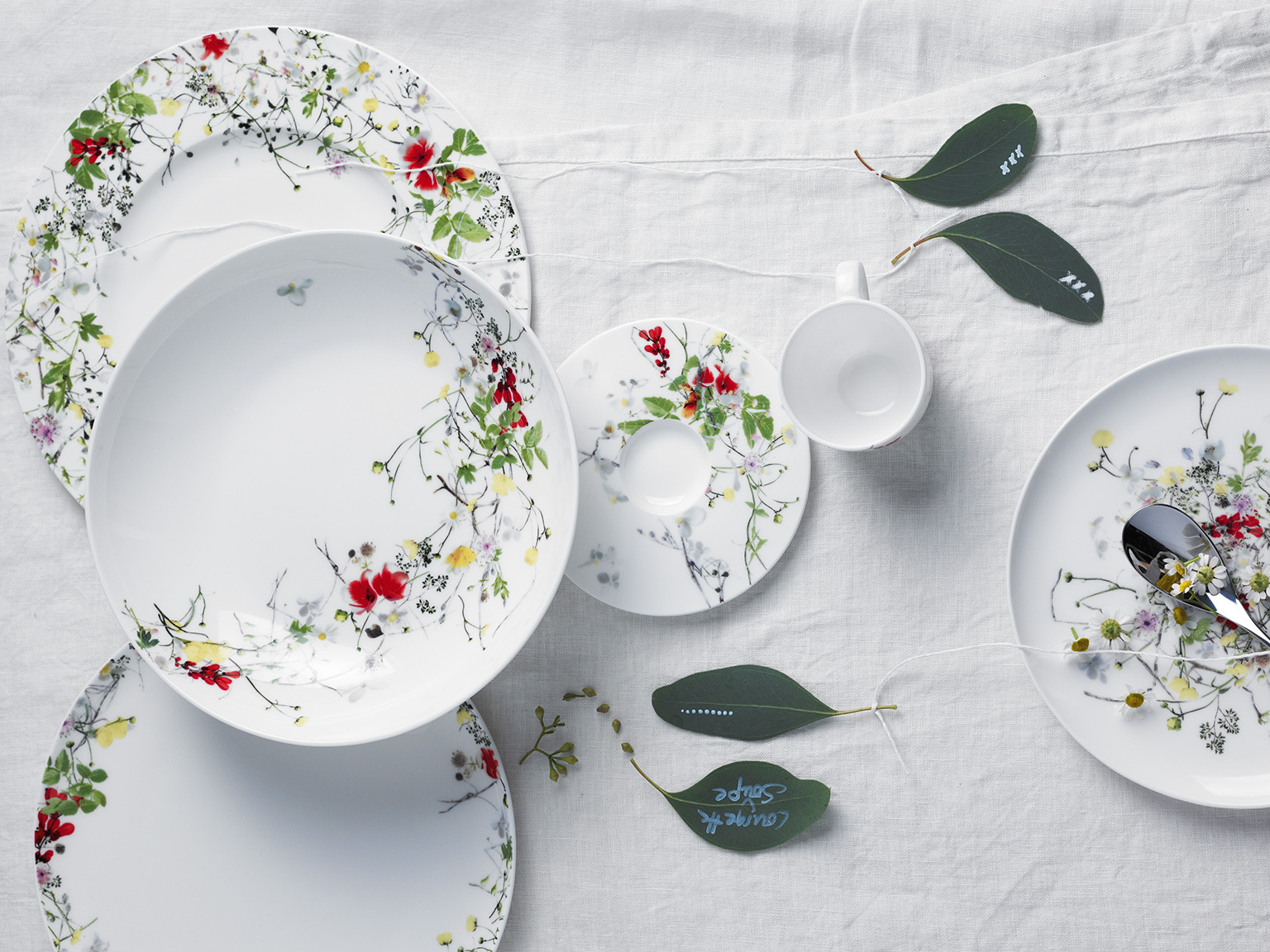 Rosenthal Brillance Fleurs Sauvages plates from above