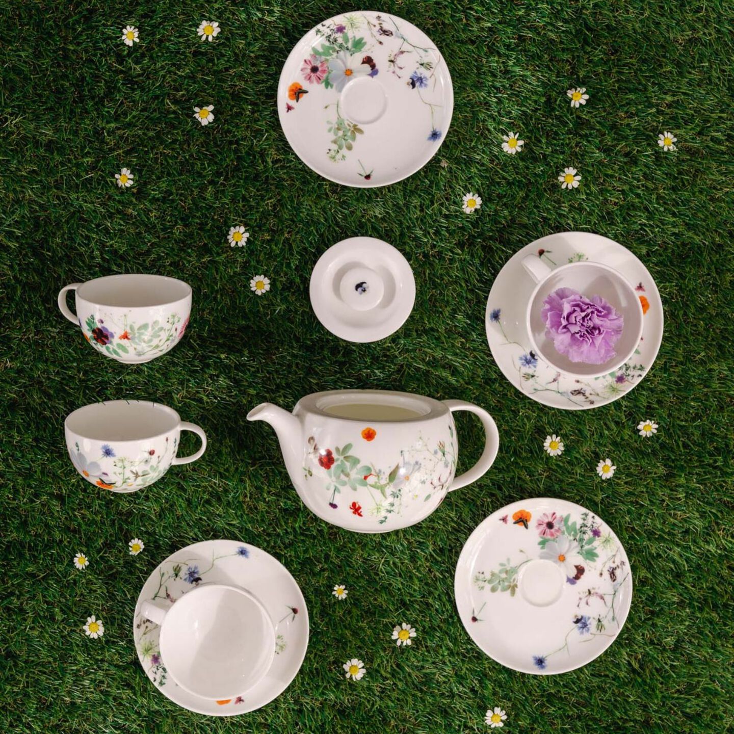 Rosenthal Brillance plates witg f loral decor on wooden table