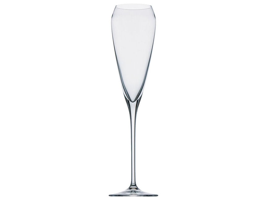 Champagne Tulip TAC Champagne Tulip