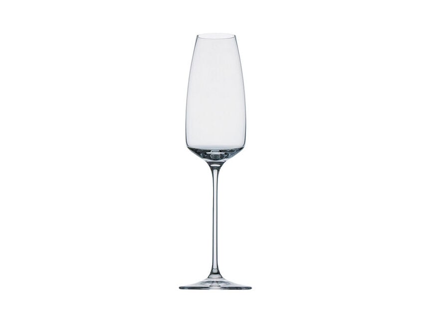 Champagne Flute TAC Champagne Flute on white background