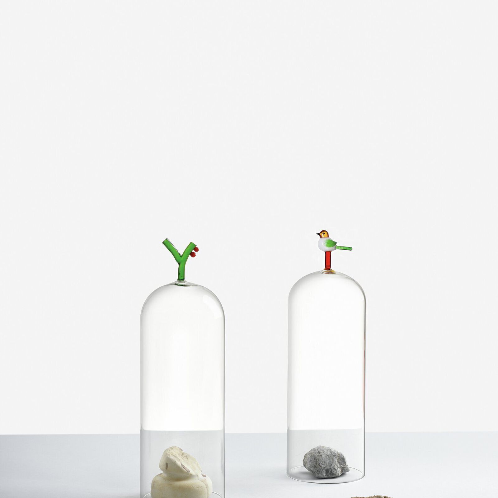 Cloche with bird image number null