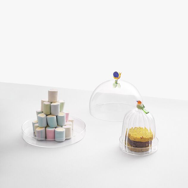 Cloche with dish and snail image number 1