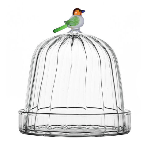 Cloche with dish and bird