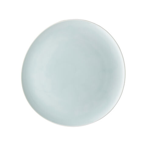 Plate, 10 5/8 inch