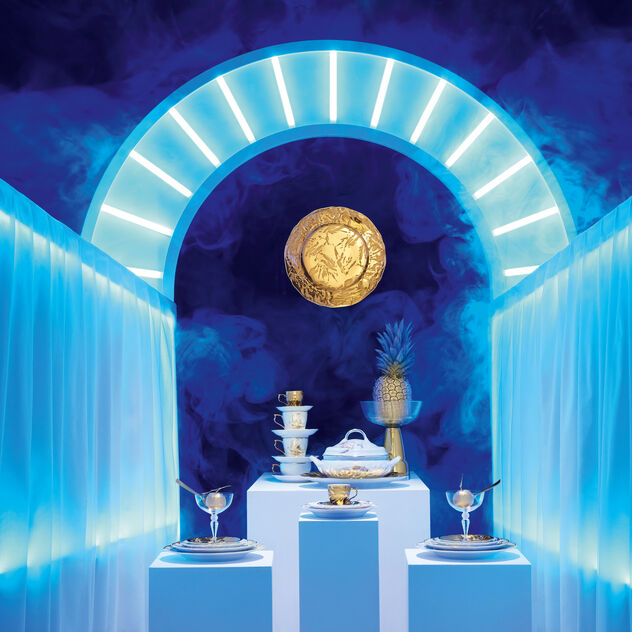 Dinner Plate image number 1