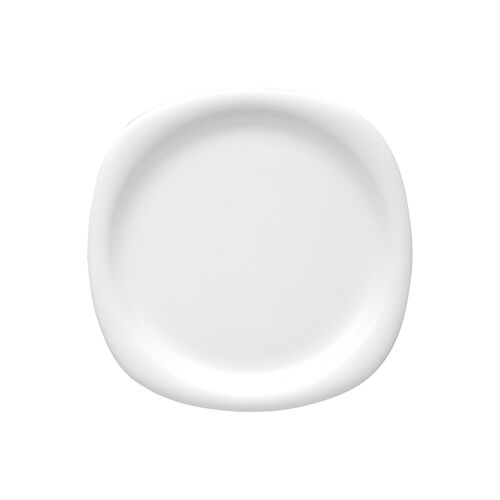 Dinner Plate, 10 1/4 inch