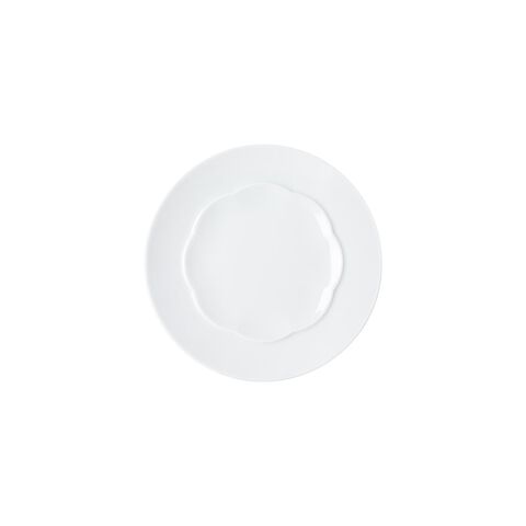 Plate flat, shiny