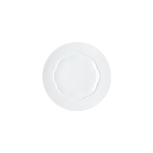 Plate flat, shiny