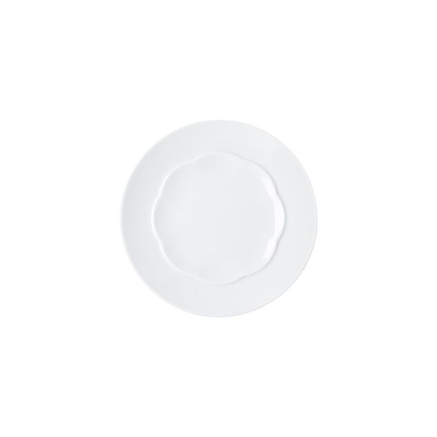Plate flat, shiny image number 0