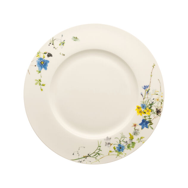 Dinner Plate, 11 inch image number 0