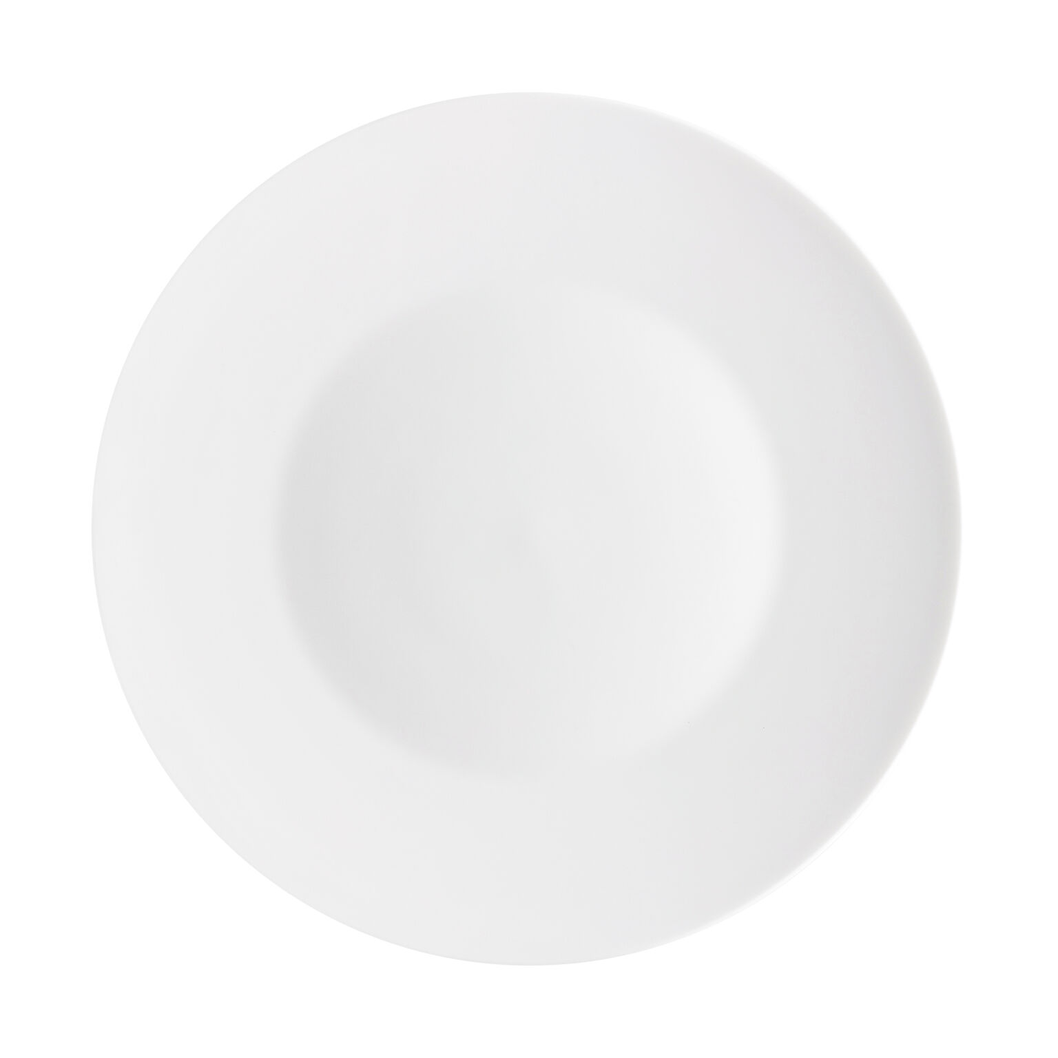 最上の品質な Plate, Service Porcelain, Rosenthal 12 Jade Round, inch, 1/4 食器