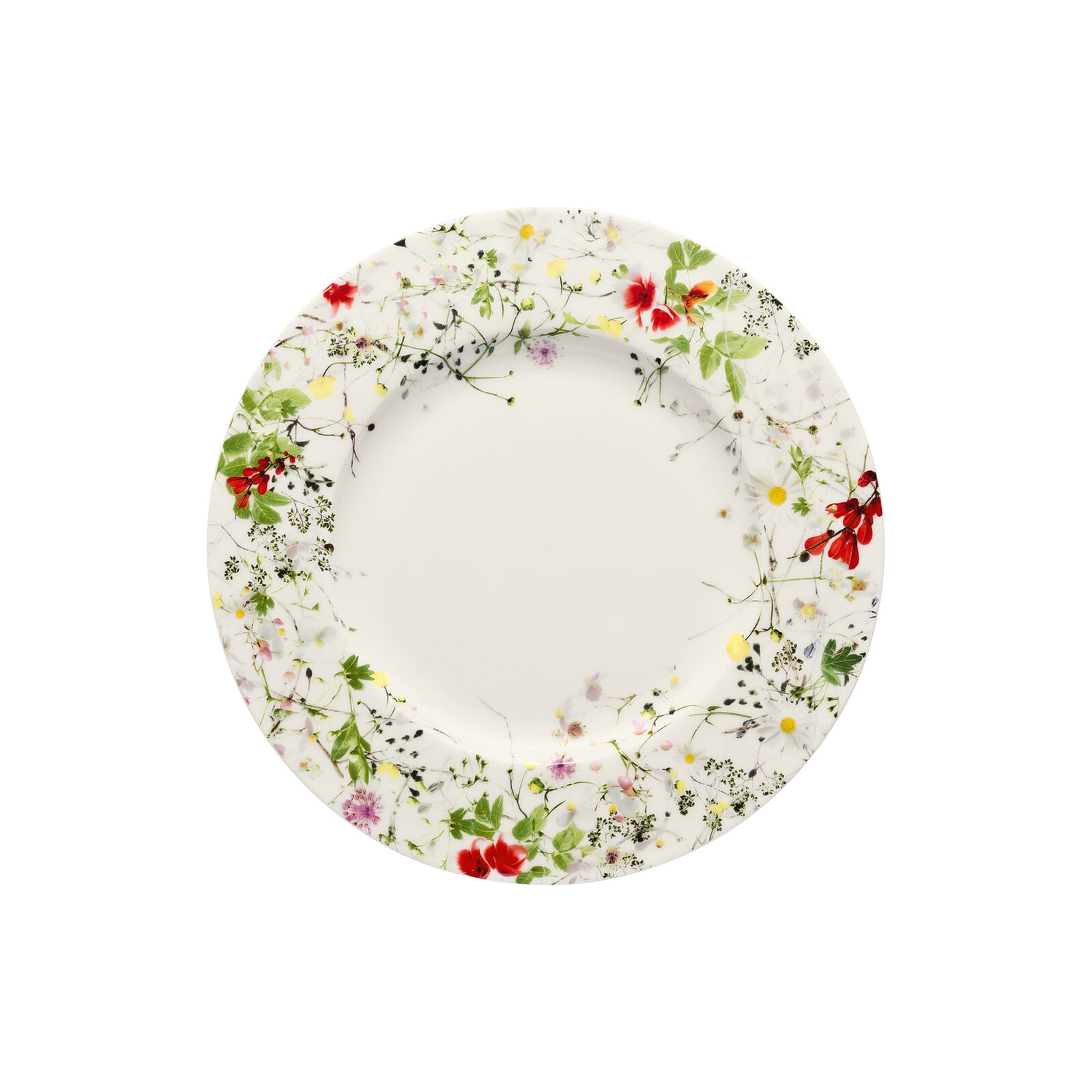 Salad Rim Plate 9 inch image number null