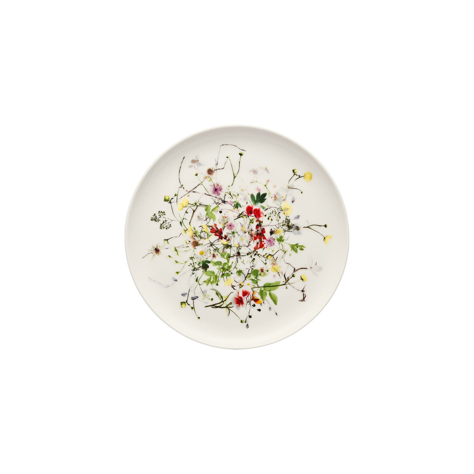 Hutschenreuther Rosenthal 花柄皿 Hutschenreuther Rosenthal 花柄皿 【公式通販】