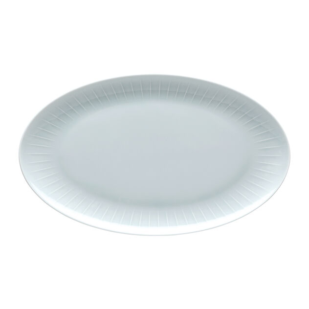Platter, 15 inch image number 0