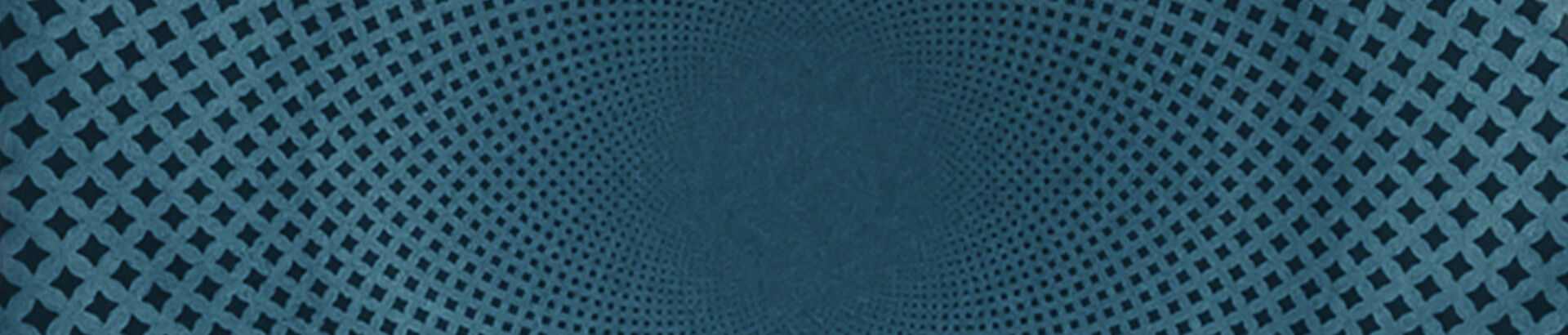 Blue dinnerware