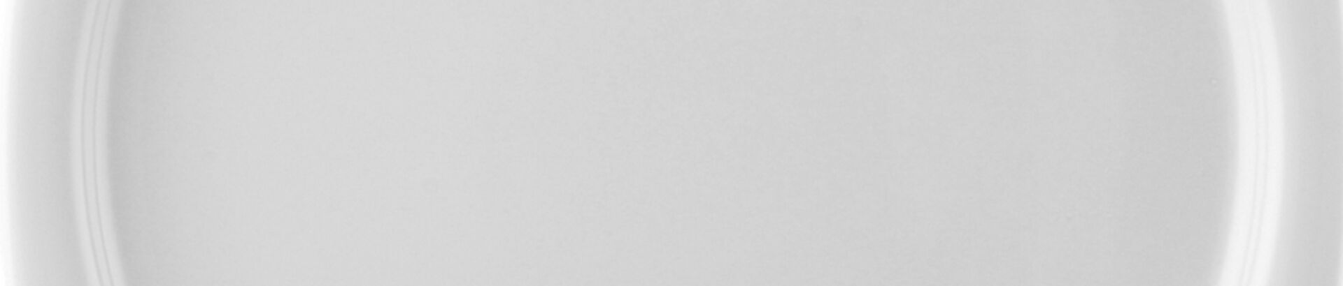 White dinnerware