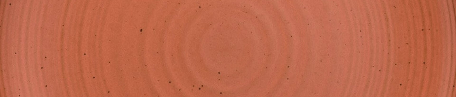 Orange dinnerware