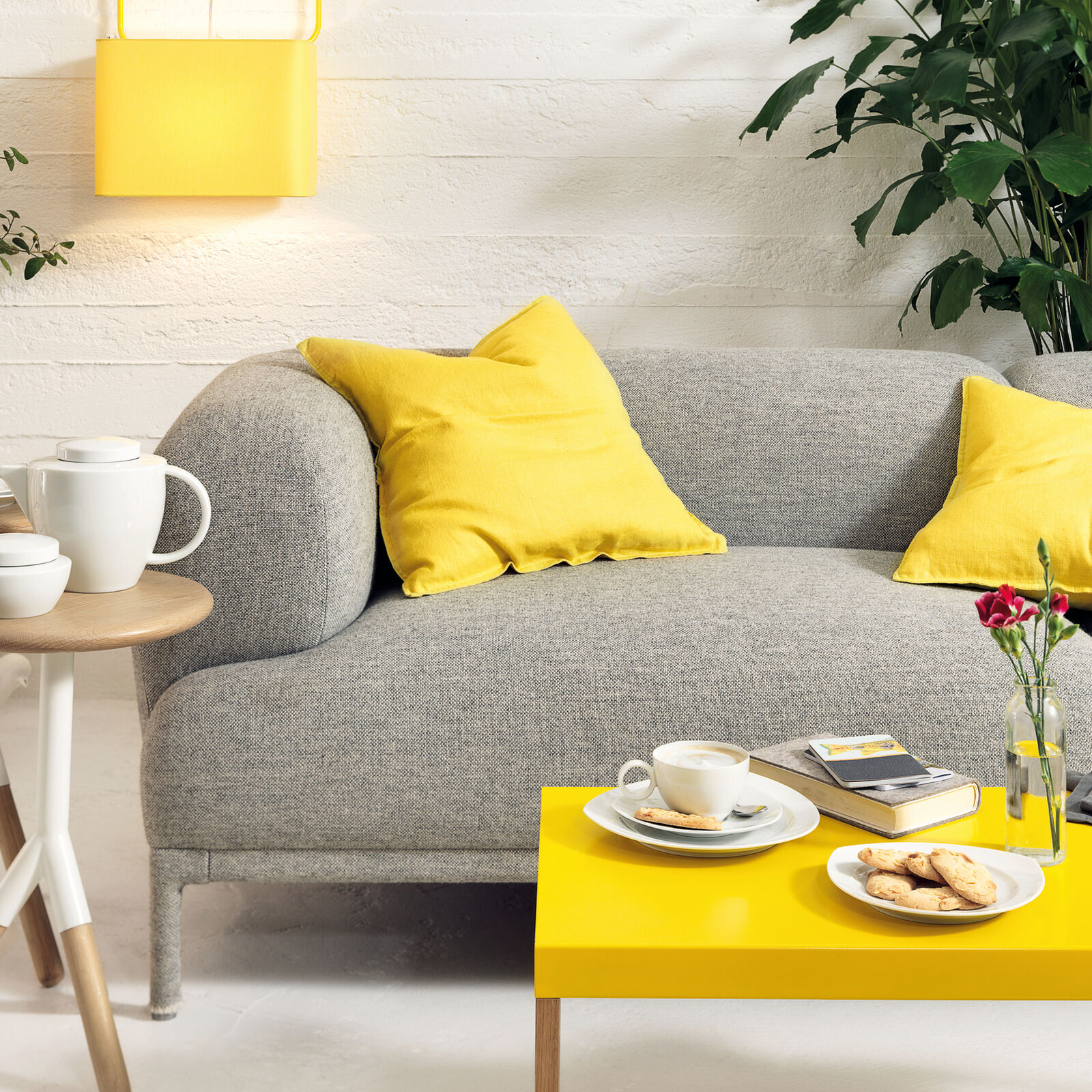 Mug image number null