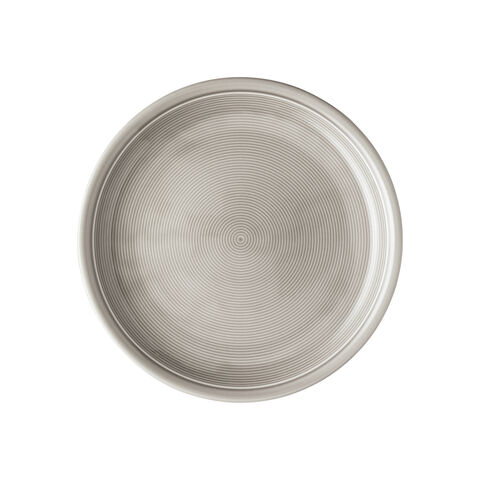 Dinner Plate, 10 1/4 inch