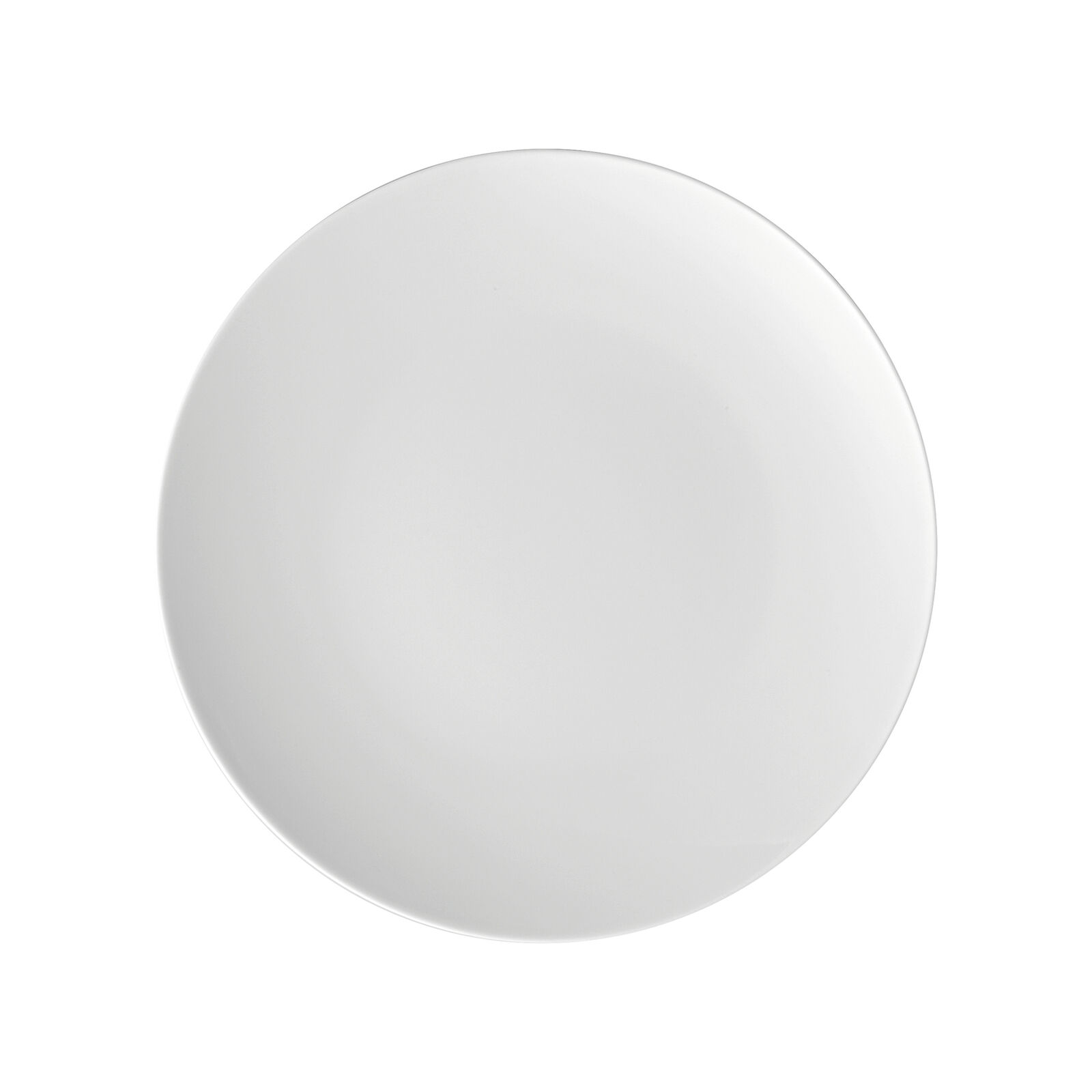 Dinner Plate, 11 inch image number null