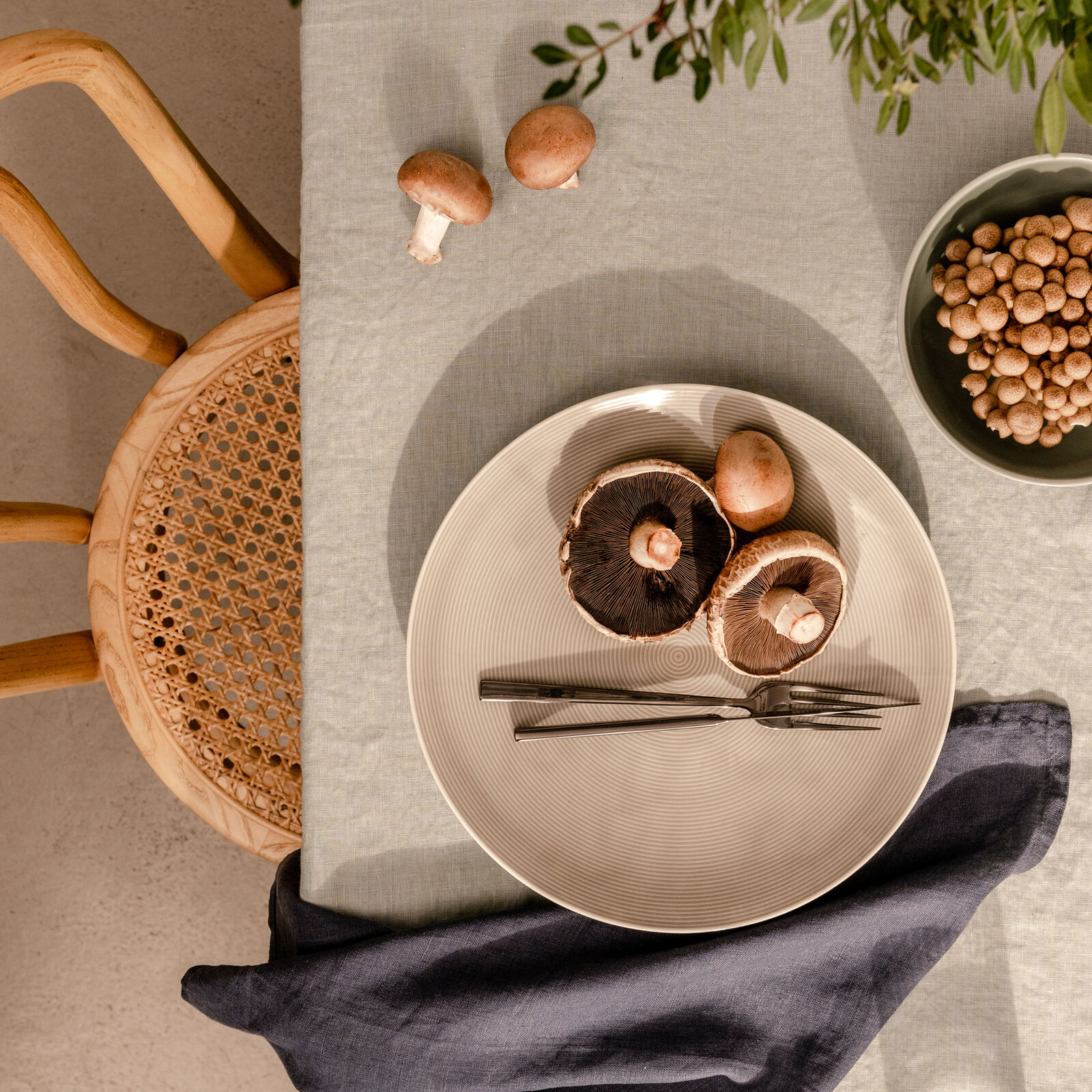 Dinner Plate, 11 inch image number null