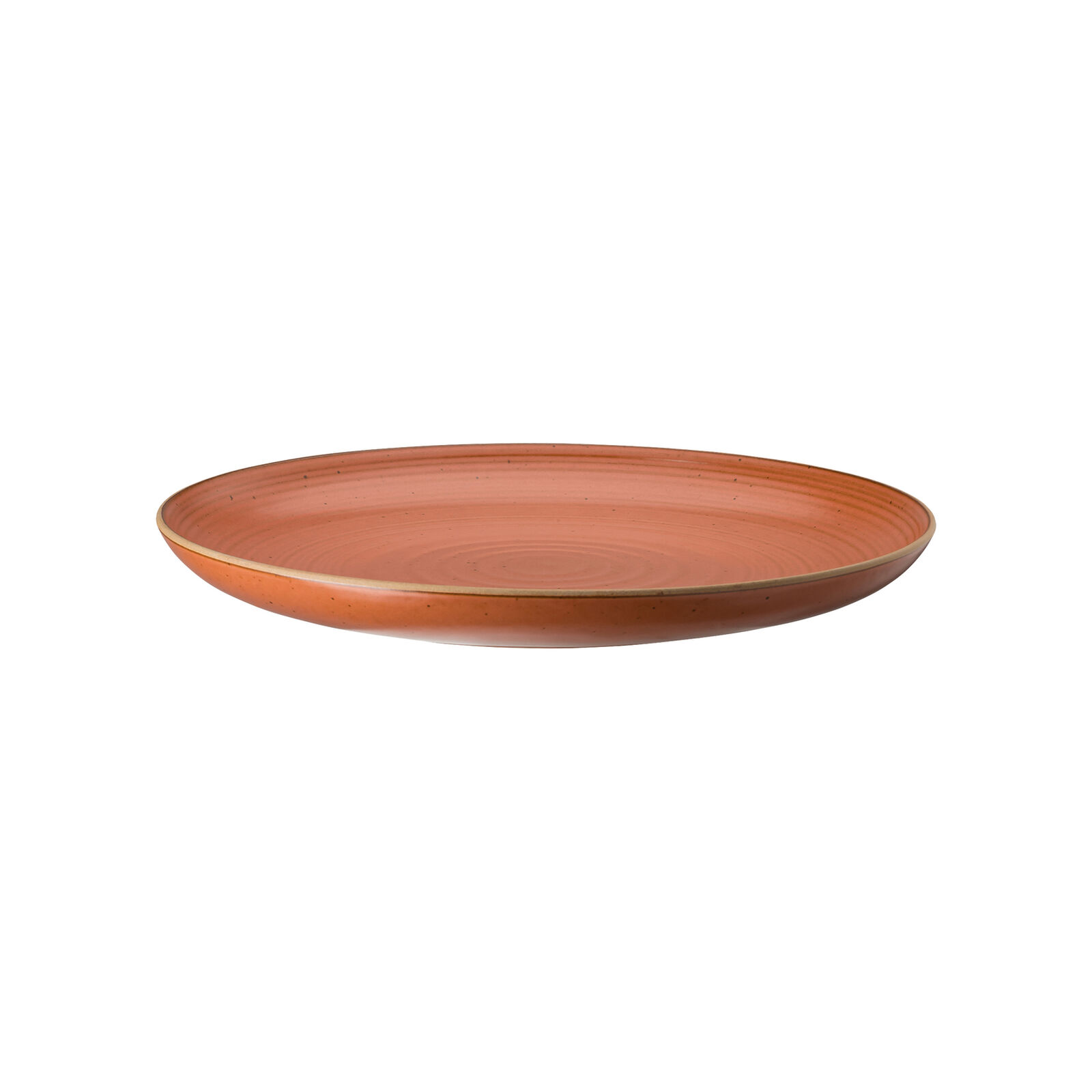 Dinner Plate, 10 5/8 inch image number null