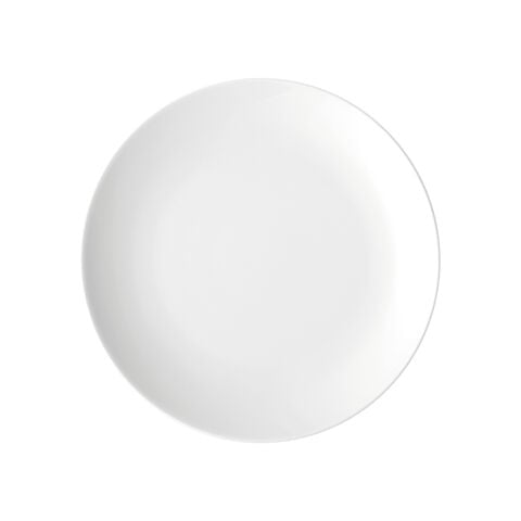 Dinner Plate, 10 1/4 inch