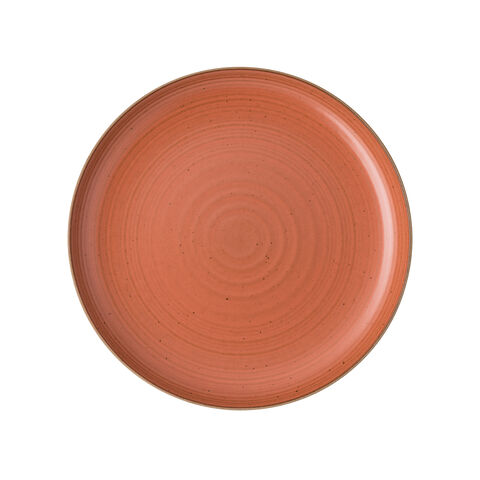 Dinner Plate, 10 5/8 inch