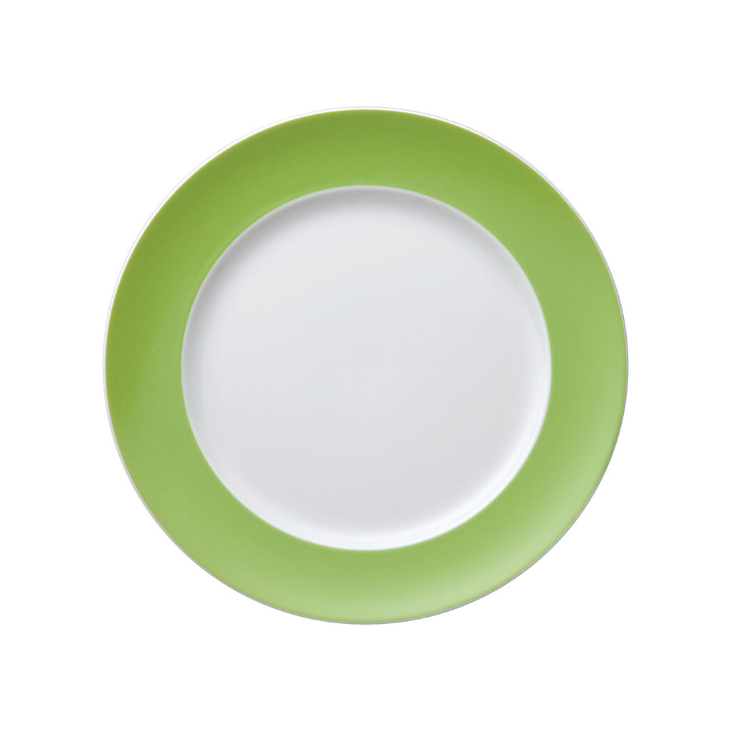 Dinner Plate, 10 5/8 inch image number 0