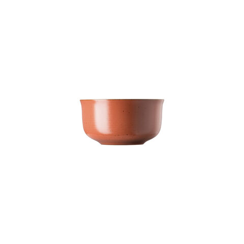 Bowl 5 in 17 1/2 oz