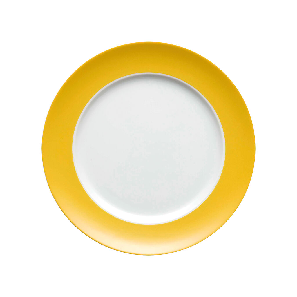 Dinner Plate, 10 5/8 inch image number 0