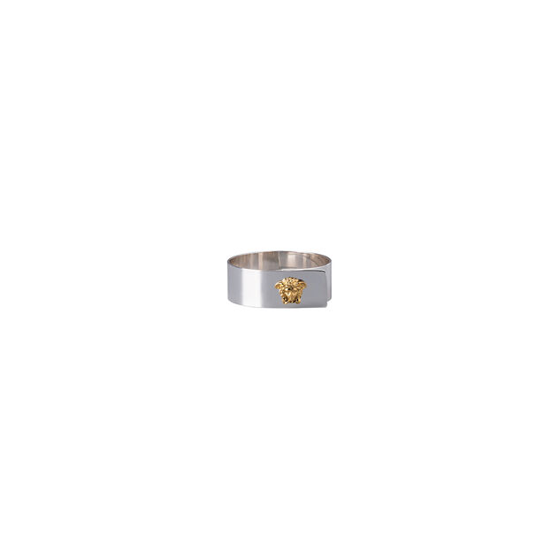 Napkin ring image number 0