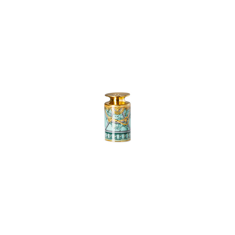 Salt shaker