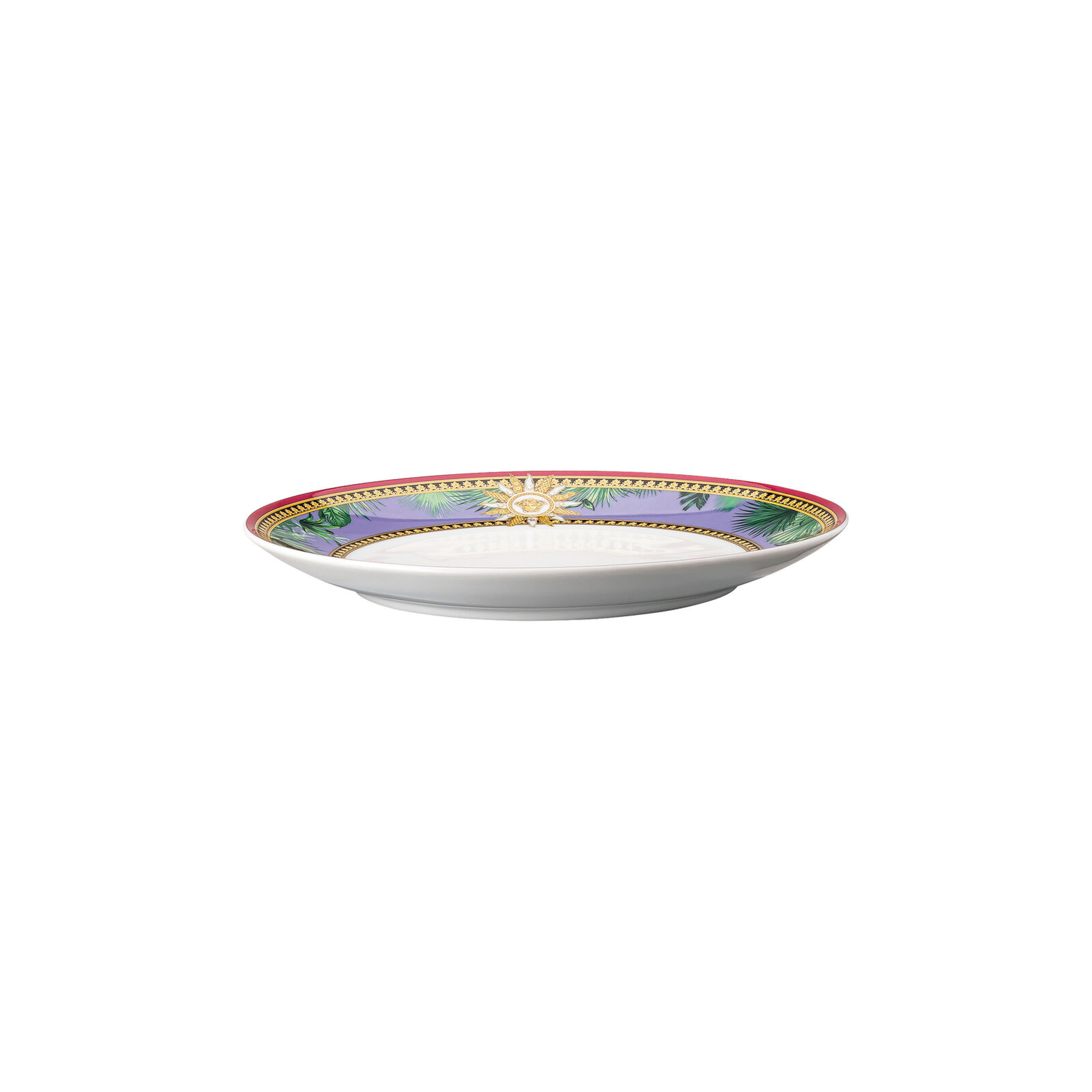 Plate 21 cm image number null