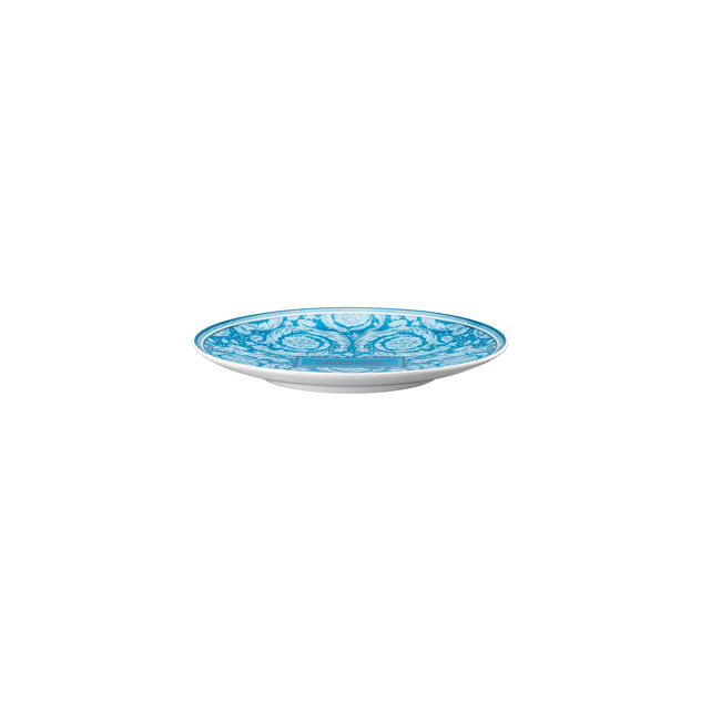 Plate 17 cm image number 1