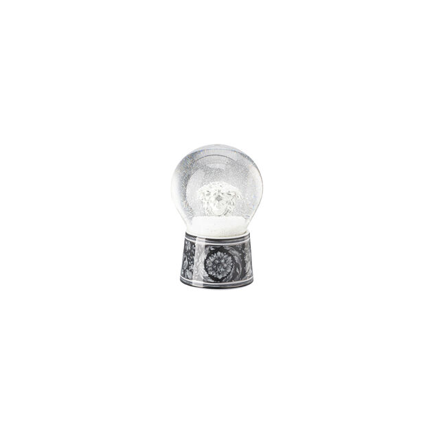 Snow Globe image number 0