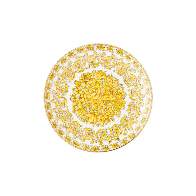 Plate 21 cm image number 0