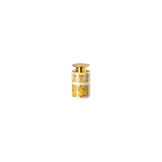 Salt shaker image number 0