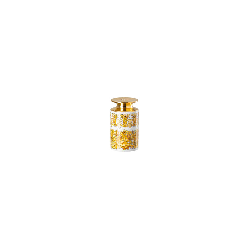 Salt shaker