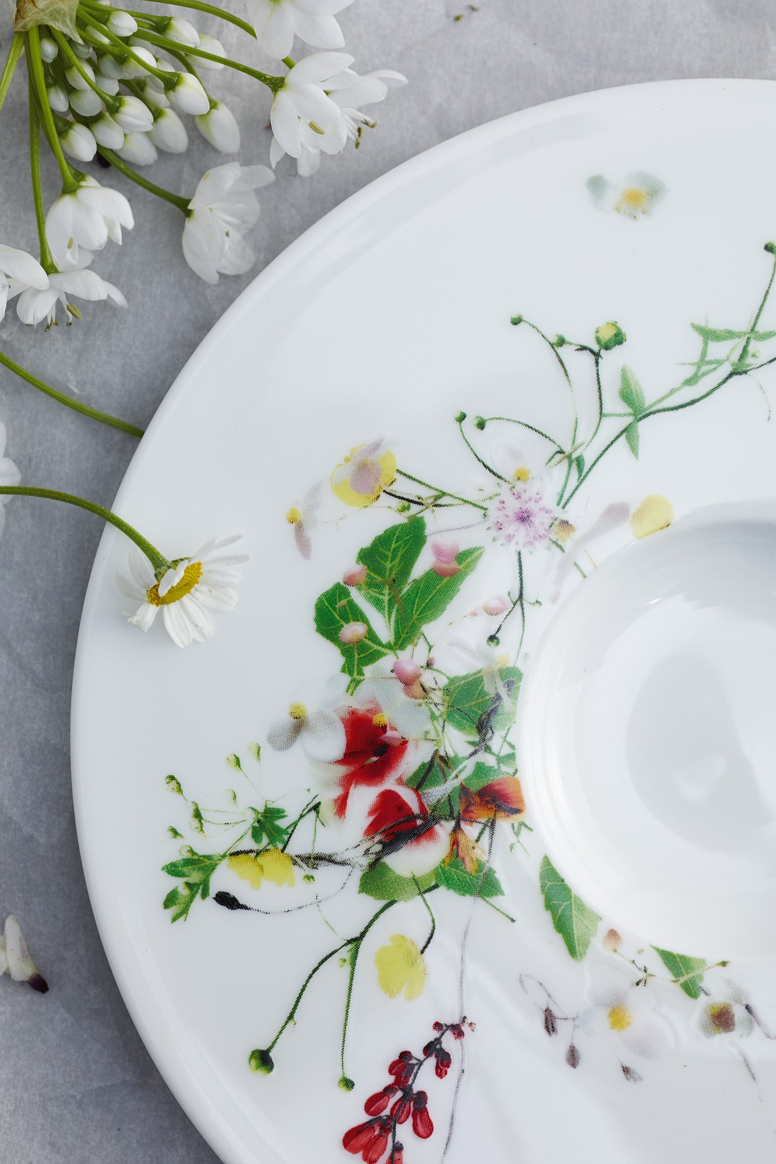 Rosenthal Brillance Fleurs Sauvages