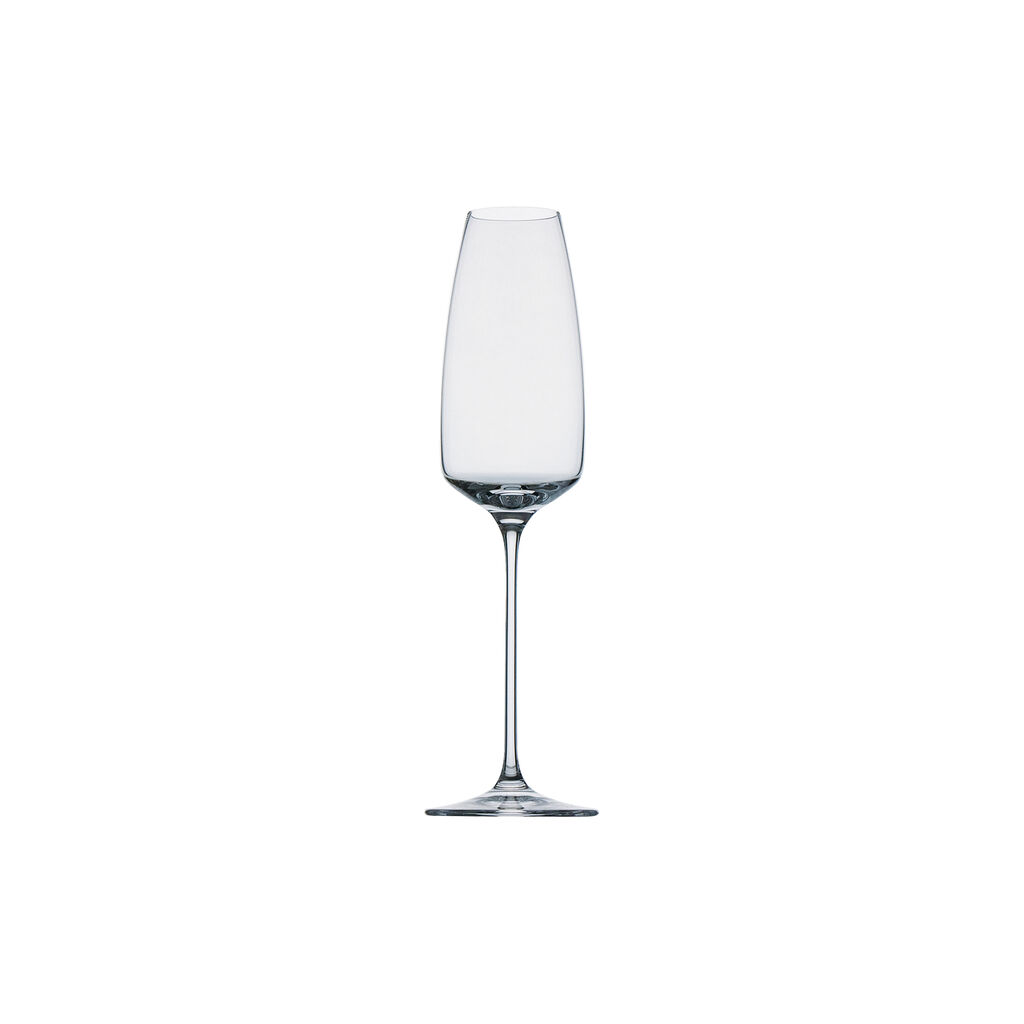 TAC Champagne Flute on white background